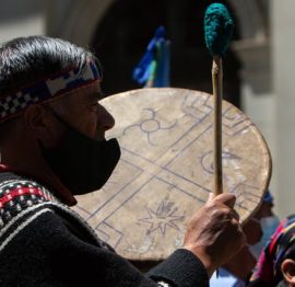 mapuche-columna