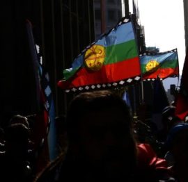 mapuche-mostrador